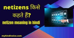 netizen meaning in hindi