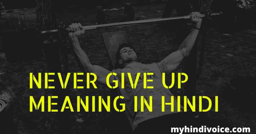 never give up meaning in hindi